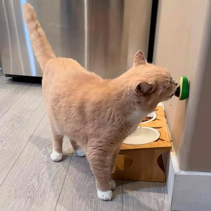 Kitty Delight™ Catnip Toy