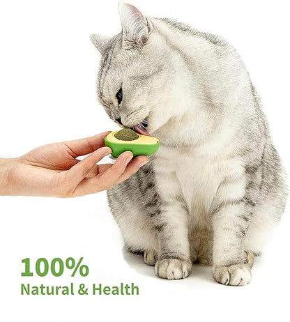 Kitty Delight™ Catnip Toy
