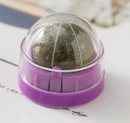 Kitty Delight™ Catnip Toy