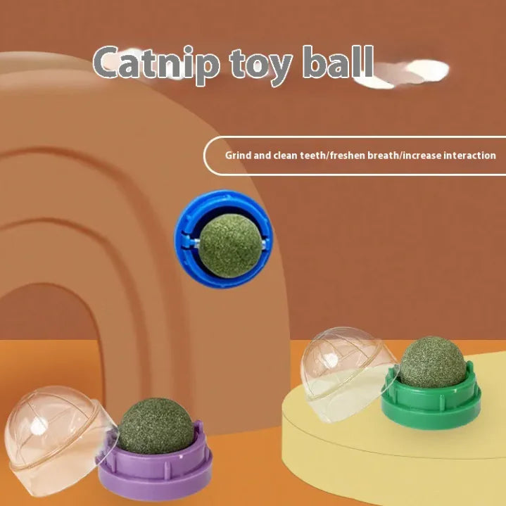 Kitty Delight™ Catnip Toy