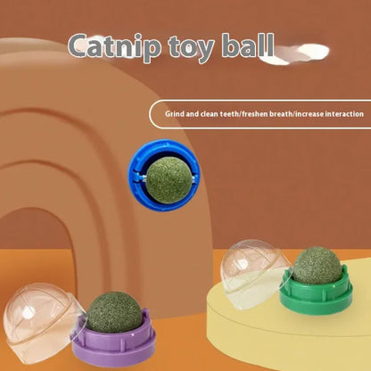 Kitty Delight™ Catnip Toy