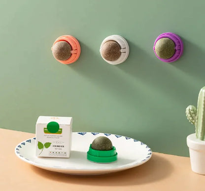 Kitty Delight™ Catnip Toy